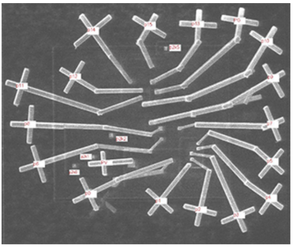 FIB點針墊偵錯 FIB點針墊偵錯