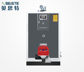 1噸燃?xì)猓ㄈ加停┱羝l(fā)生器